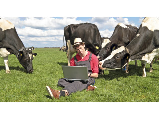 Как провести интернет в селе?